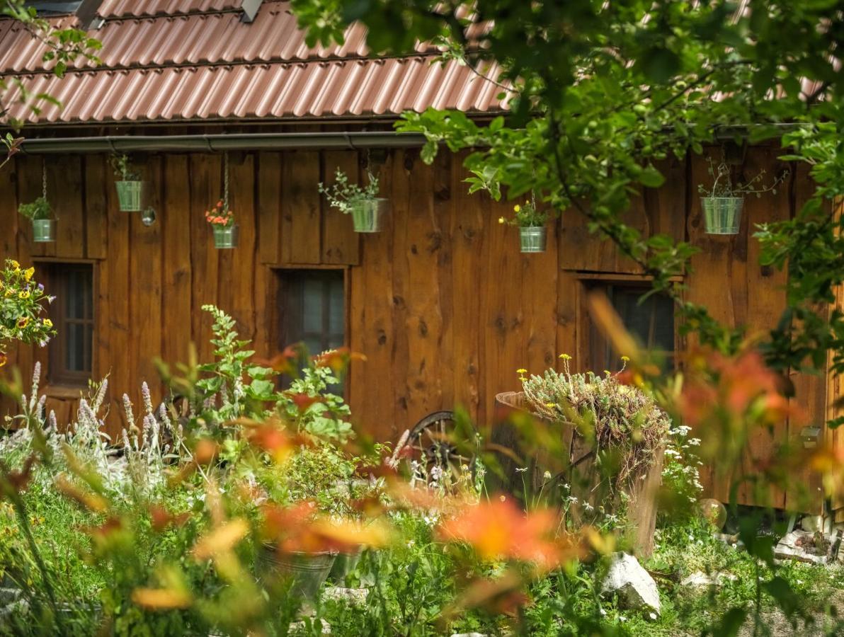 Yeti Cabin Plitvica selo Exteriör bild