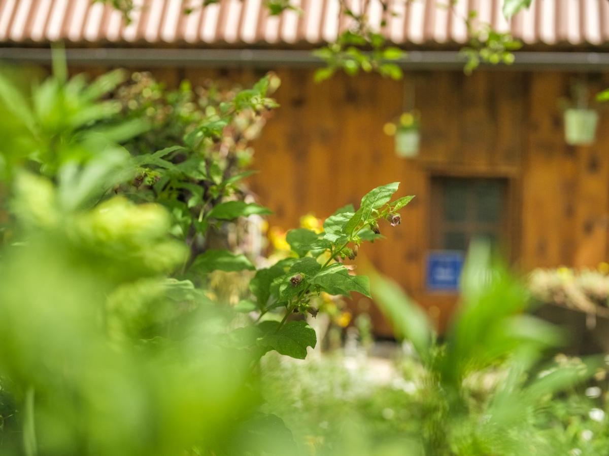 Yeti Cabin Plitvica selo Exteriör bild