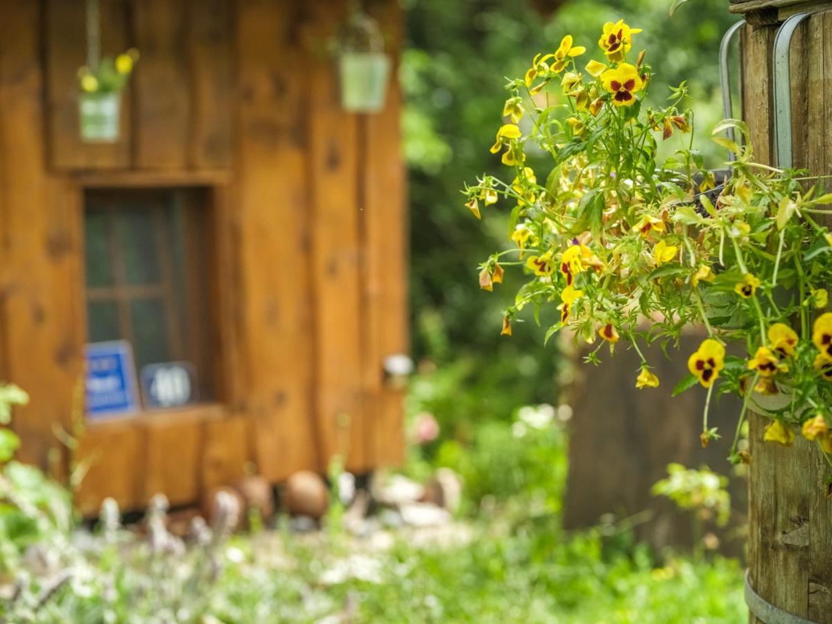 Yeti Cabin Plitvica selo Exteriör bild